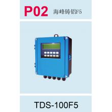 K0219 海峰壁挂式流量计（配C11型探头）TDS-100F5-C11
