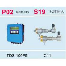 K0219 海峰壁挂式流量计（配C11型探头）TDS-100F5-C11