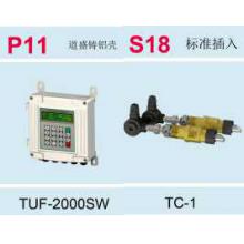 K1118 道盛壁挂式超声波流量计（配TC-1I型探头）TUF-2000SW-TC-1